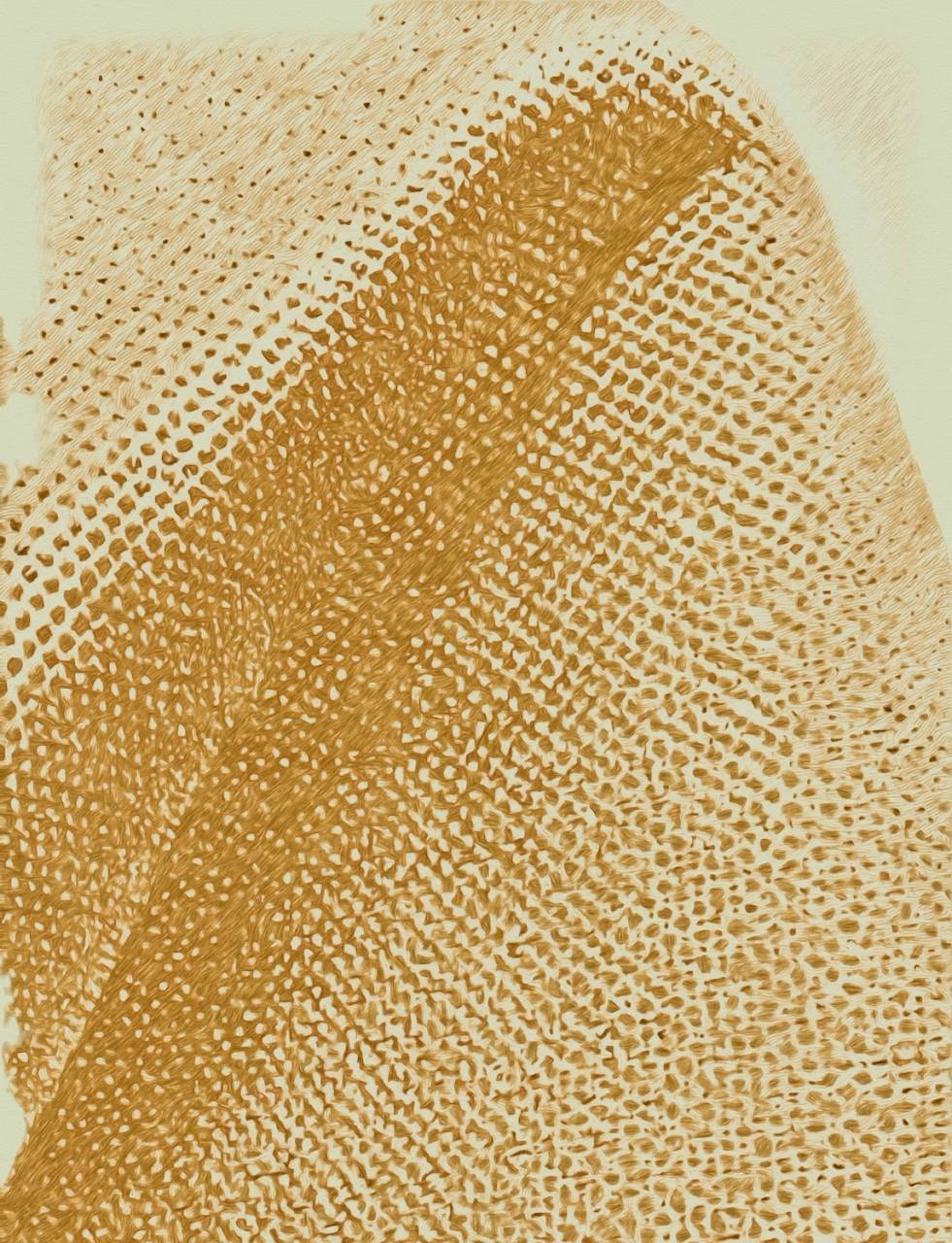 帆布と人の記憶　　WABISUKEが紡ぐ、布と暮らしの物語